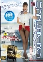 パンストエアーライン ノーパンCAおま〇こフライト