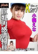 巨乳肉感清掃員