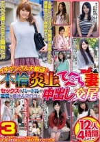 イチゲンさん大歓迎♪ 不倫炎上てへぺろ妻 セックスのハードルが激低な奥さんマ○コと中出し交尾 12人4時間SP3