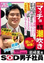 SOD男子社員 制作部 ムラっch中途社員 岩崎薫君 ガチムチマッチョ×本気潮吹き 女性の気持ちをを全く理解してない経験不足な中途社員には、とことん痴女攻めし企画を考えるためドMの悦びを学んでもらいました 小室嬉奈
