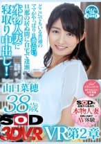 【VR】山口菜穂 38歳 VR 第2章 どこにでもいる普通のママがやっぱり1番エロい。旦那の居ぬ間に自宅で逢瀬。本物人妻に寝取り中出し！