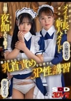 【VR】引退するメイド長から初心な新人メイドへ 日課の夜伽を引き継ぎ 磨き抜かれた乳首責めを伝授する3P性講習 広瀬結香 南乃そら