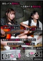 K.T.&Y.K.